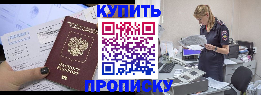 временная регистрация поиск в Гатчине